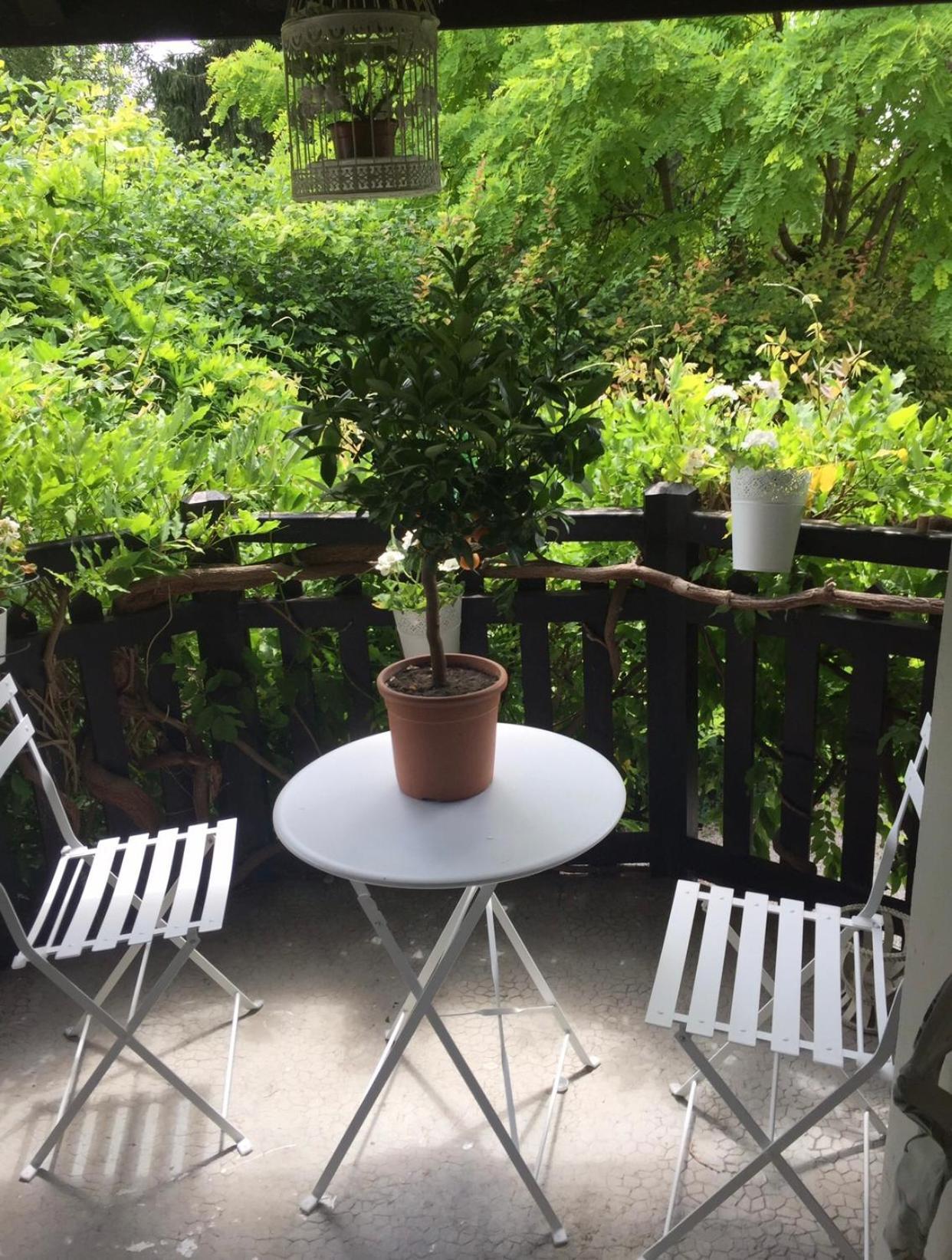 Apartamento L'Arbre Aux Papillons Veigy-Foncenex Exterior foto